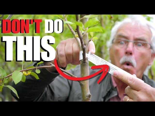 STOP WASTING your TIME planting FRUIT TREES and do THIS instead!