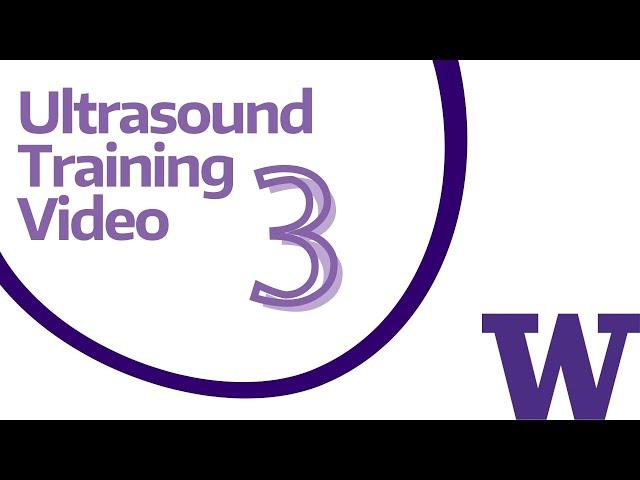 3_Ultrasound Training