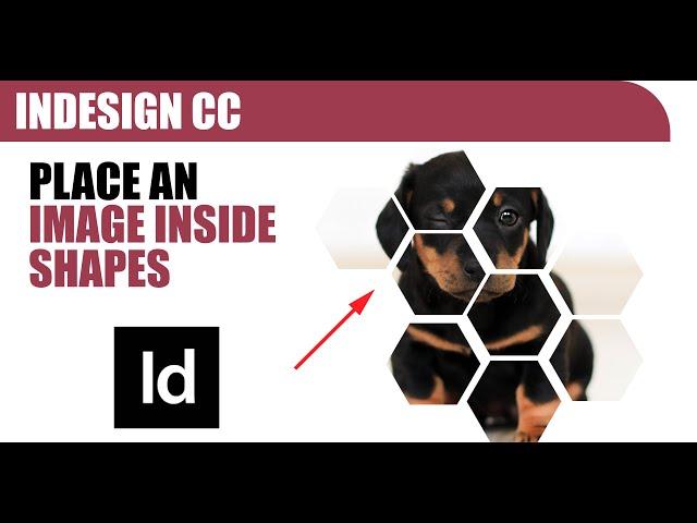 How to place an image inside MULTIPLE shapes - Adobe InDesign