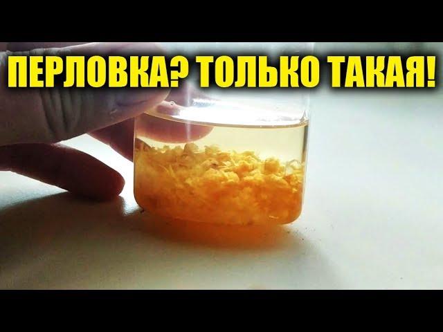 ПЕРЛОВКА С ЧЕСНОКОМ, МОЙ СЕКРЕТ ПРИГОТОВЛЕНИЯ ПЕРЛОВКИ ДЛЯ ЛОВЛИ КАРАСЯ