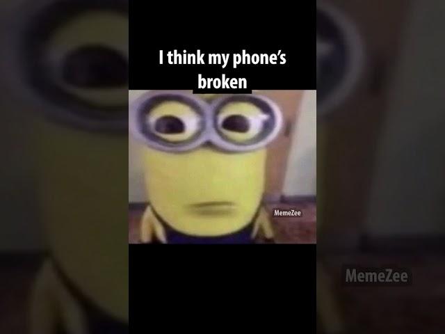 minion meme