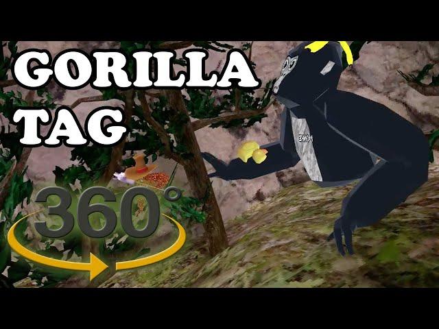  Gorilla Tag - Thorns VR / 360° / 4k