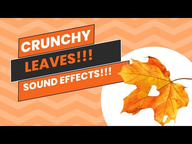 Crunching Leaves Sound Effects | Free  HQ Crunchy Leaves Sounds  #soundeffect #editing #autumn