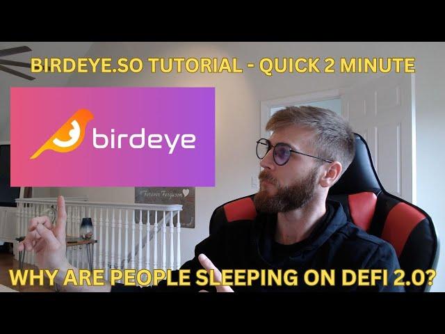 BIRDEYE.SO TUTORIAL - QUICK 2 MINUTE SETUP