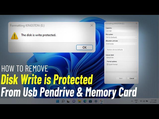 Fix disk write is protected | How To Remove Write Protection From USB Pendrive Sd Card 2024 