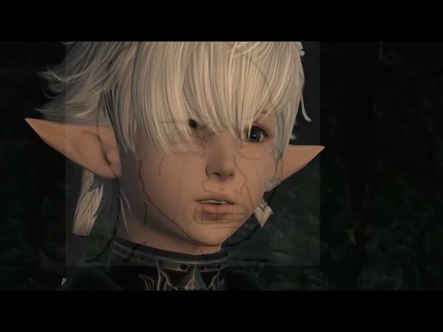 alphinaud gets mistaken for alisaie