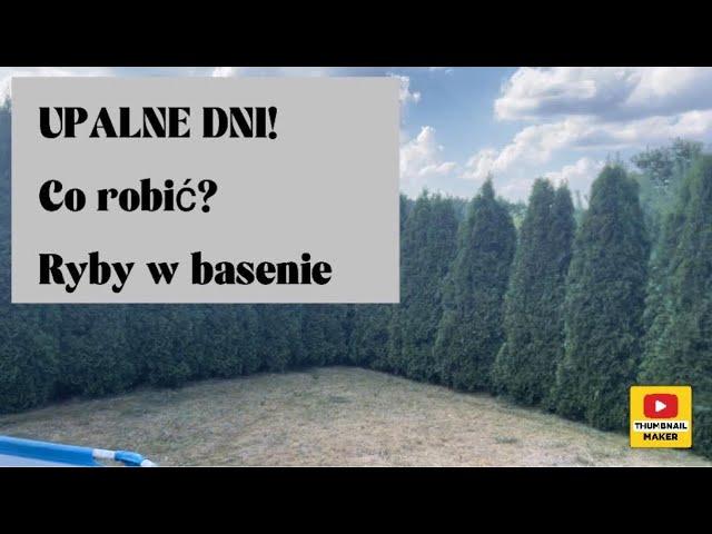 UPALNE DNI!! co robić? •RYBY W BASENIE• ~32 stopnie~