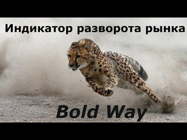 Индикатор смены тренда Bold Way