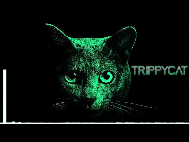 Serious Summer Dark Minimal Techno Mix 2020 [TRIPPYCAT]