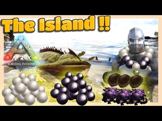 Easy Black Pearl | Silica Pearl | Oil | Chitin in The Island in ARK Survival Evolved