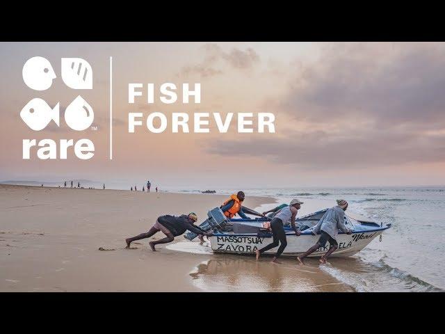 Fish Forever: Rare's community-led solution to solve coastal overfishing