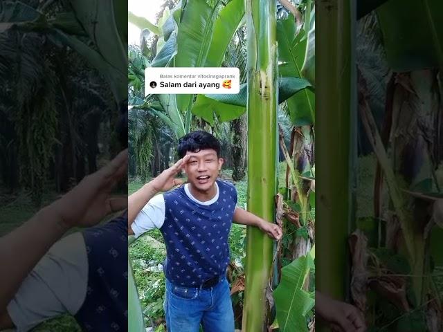 Viral di tiktok salam dari binjai