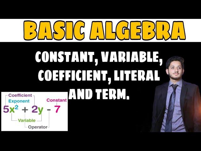 Algebra Basics || What is Algebra? || Constant, Coefficient, Variable, Literals, Term || Hindi/Urdu