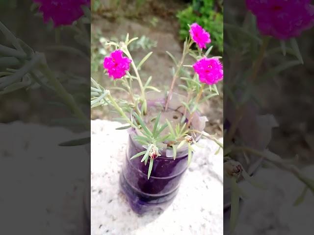 Artificial blue pot reassemble with Flowers