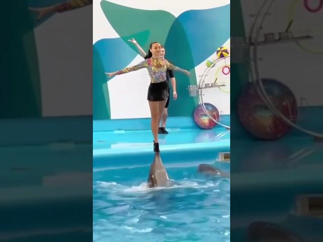 Великолепный танец девушки с дельфином ️️