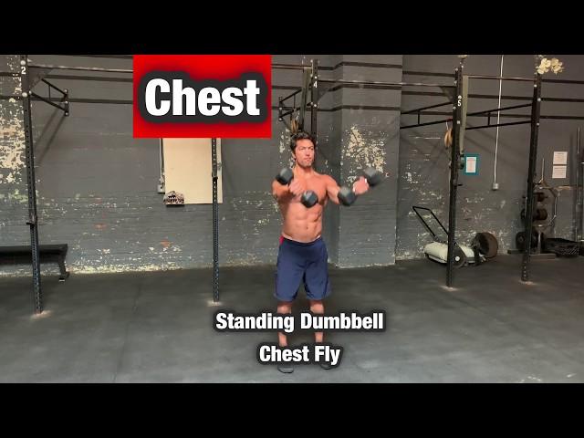 Standing Dumbbell Chest Fly - Chest, Pec Exercise Workout