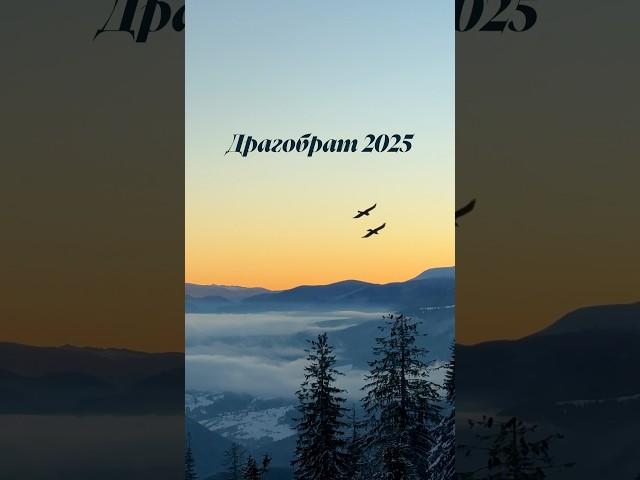 Драгобрат 2025, чи варто їхати? #драгобрат #карпати2025 #карпати