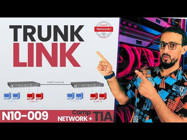 Trunk Link Explained: What It Is and How It Works?