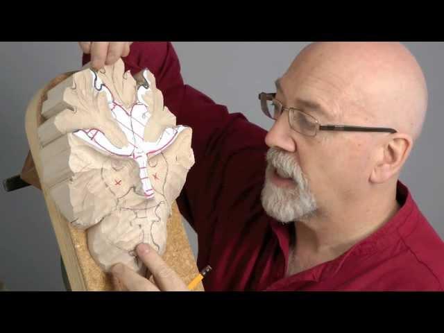 How to carve a Traditional Green Man   -  Woodcarving Workshops