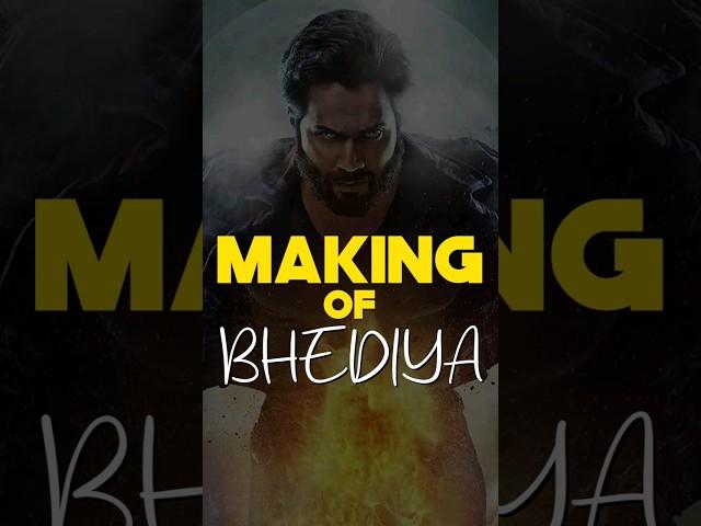 How BHEDIYA CGI was made by DIRECTOR AMAR KAUSHIK