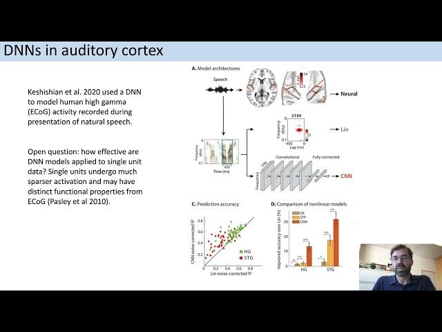 Can Deep Learning Produce a General Model of Natural Sound Encoding by Auditory Cortex?