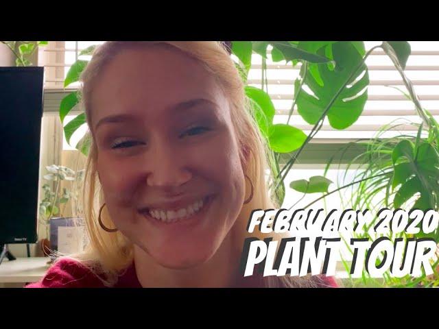 2020 Apartment House Plant Tour