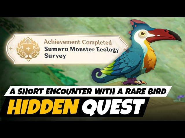 Sumeru Hidden Quest : A Short Encounter With a Rare Bird | Genshin Impact 3.0