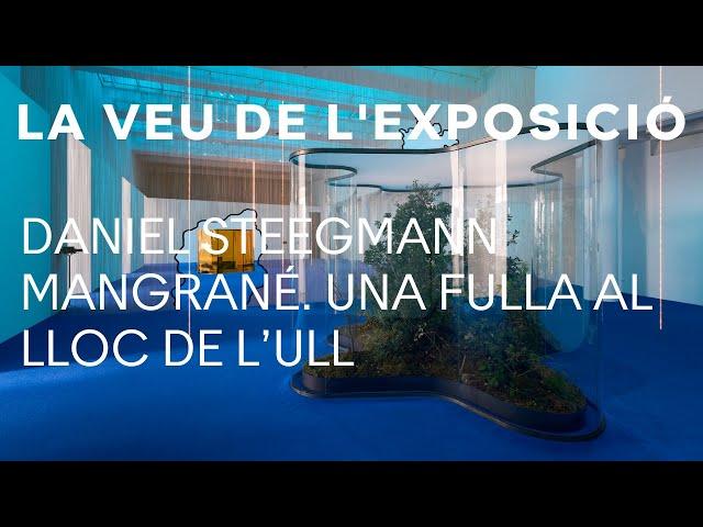 The voice of the exhibition | Daniel Steegmann Mangrané | MACBA