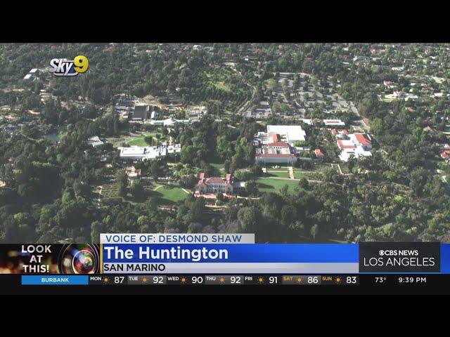 Look At This: The Huntington