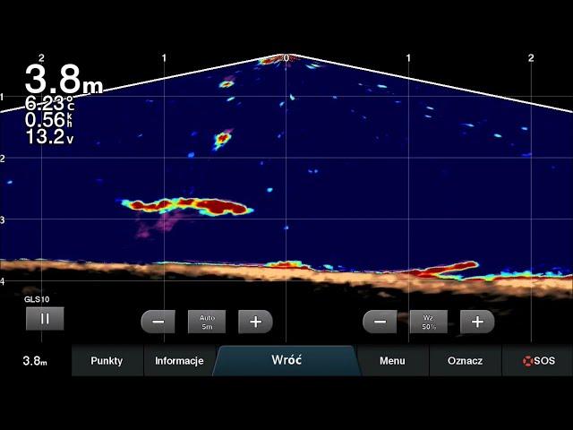 Garmin LiveScope Panoptix cz.10 Odra sandacz 96 cm branie wyjścia sumów i szczupaka #GarminLivescope