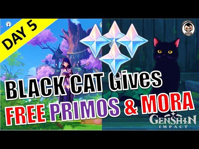 [Day 5] Neko (The Black Cat) Gives Free Primogems & Mora | Genshin Impact