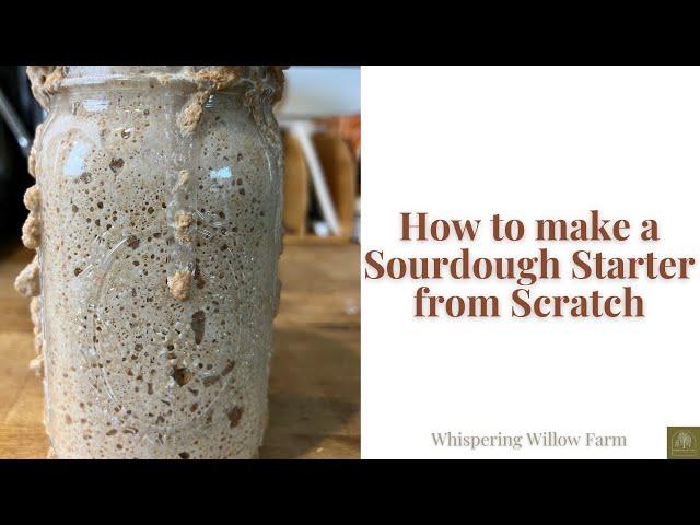 How to make a Sourdough Starter from Scratch |FOOL PROOF RECIPE