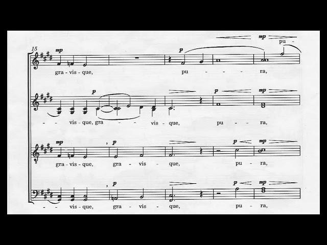 Eric Whitacre - Lux Aurumque (2000)