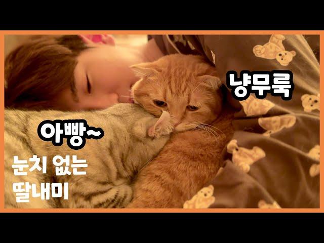 (ENG sub) All Benny the Cat Wanted Was Alone Time with His Big Brother