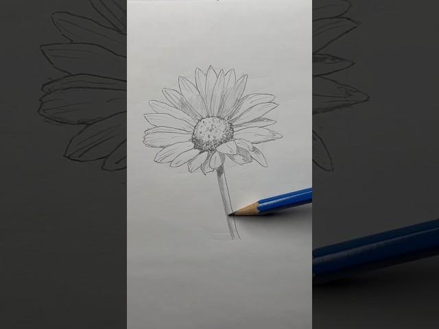 Draw a flower  Easy drawing lesson for beginners on how to draw a flower. #drawinglesson#howtodraw