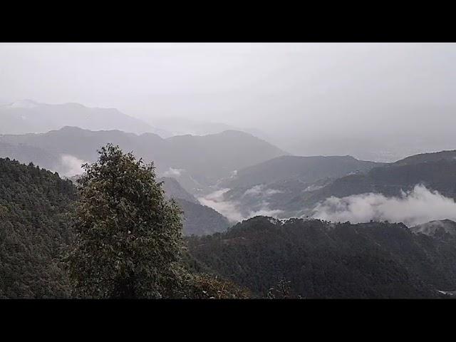 Shimla nature sound