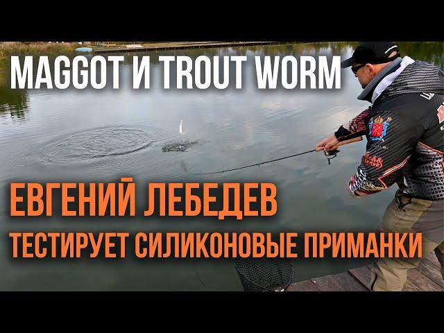 Евгений Лебедев тестирует силиконовые приманки Maggot и Trout Worm от AKARA для ловли форели.