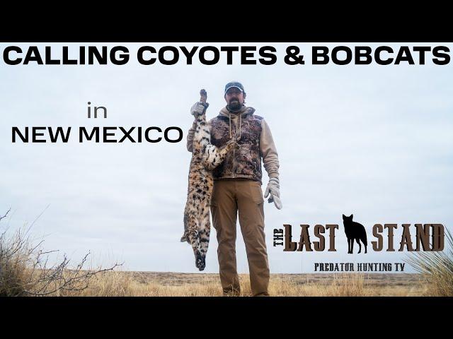 New Mexico Predator Hunting! Calling Coyotes & Bobcats | The Last Stand S7:E9