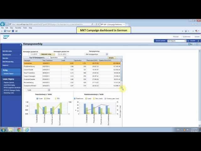 SAP Dashboard MKT Campaign Performance in German