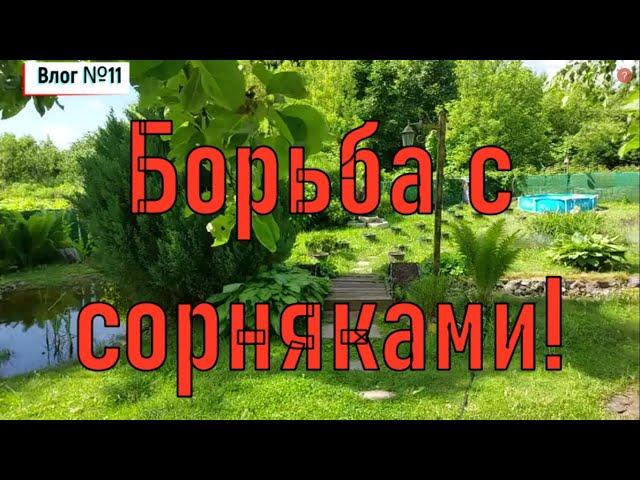 Vlog 11: ДЕНЬ в деревушке. Скоро уедем #мояжизнь #деревня #почеп #мояистория #брянскаяобласть