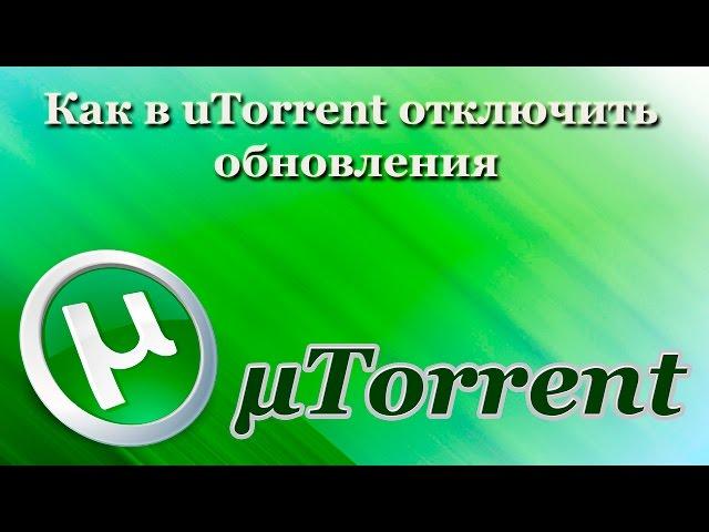 Как в uTorrent отключить автопроверку обновлений