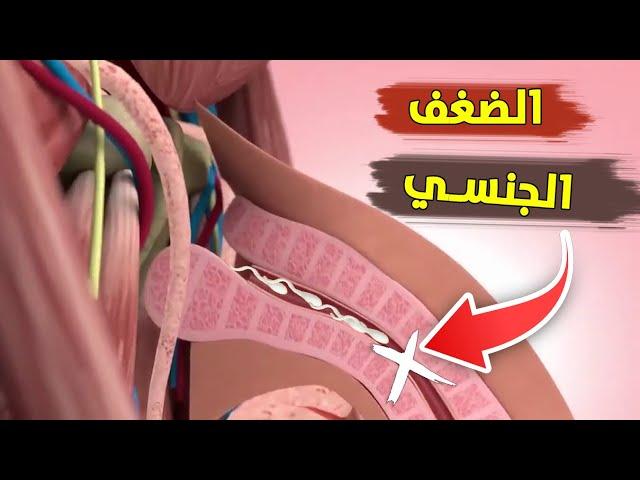 شاهد كيف يحدث الضعف الجنسي عند الرجال