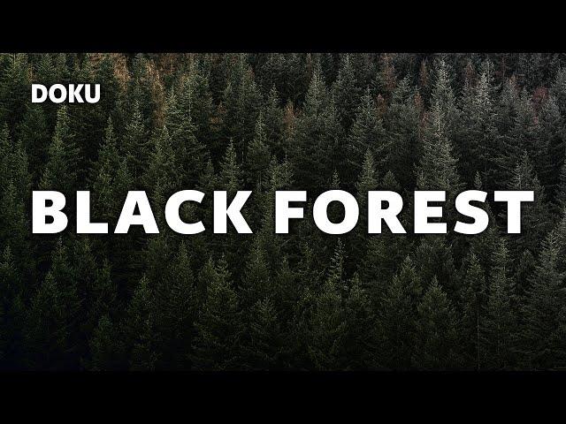 Black Forest (Komplette Dokumentation über den Schwarzwald, ganze Doku auf Deutsch, Naturdoku)