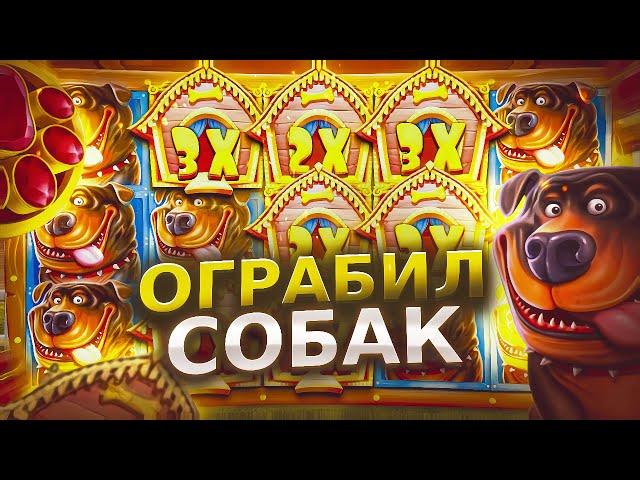 ОГРАБИЛ СОБАК В THE DOG HOUSE | ЗАНОС ПО КРУПНОЙ СТАВКЕ В БОНУСКЕ ДОГ ХАУС 1win