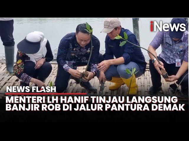 Gandeng 2 Kementerian, Menteri LH Hanif Pastikan Jalur Pantura Demak Bebas Banjir | News Flash