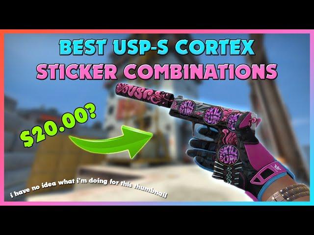 [CSGO] USP-S | Cortex Best Sticker Combos!