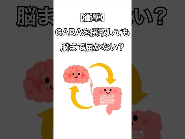 GABAを摂取しても脳に届かないってほんと？ #gaba #睡眠 #睡眠の質を上げる #ストレス #腸活 #shorts