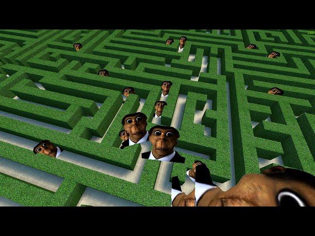 Obunga Maze