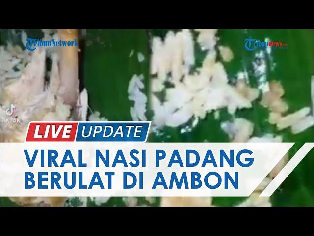 Viral Video 'Nasi Padang' Isi Ulat Belatung di Ambon, Dihapus Pengunggah karena Sudah Diganti Rugi