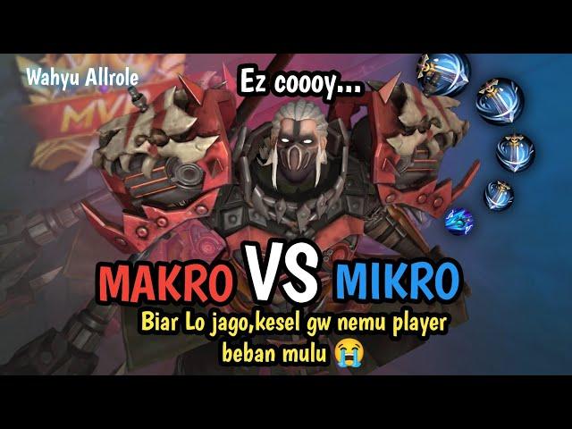 Makro Vs Mikro Explaner Level 1,2,3